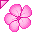Flower - Hot Pink