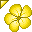 Flower - Yellow