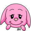 Pink Kacheek Like