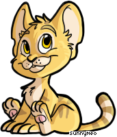 Baby - Kougra