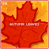 Autumn Leaves