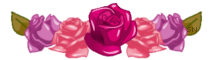 Roses Are Pink