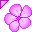 Flower - Purple